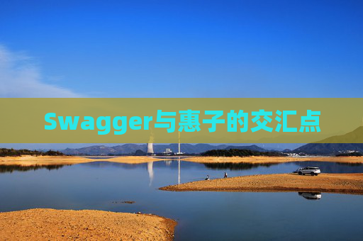 Swagger与惠子的交汇点